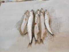 -玫瑰花园自助烤肉(金源店)