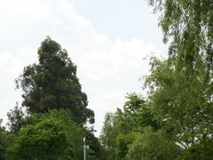 -白鹭湾湿地公园