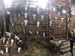 -海南槟榔谷黎苗文化旅游区