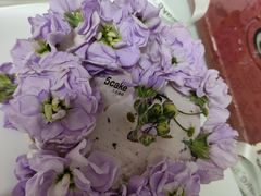 -5Cake五度无蔗糖低脂蛋糕(陶然亭店)