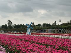 -盈香心动乐园