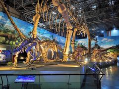 -西峡恐龙遗迹园