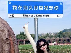 -丹樱生态园