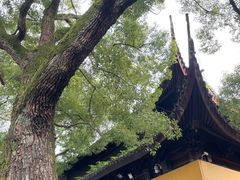 -西园戒幢律寺