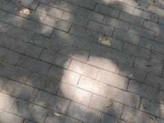 -天泽祥·鼓楼馒头(鼓楼店)