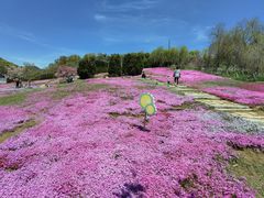 -棒棰岛宾馆景区