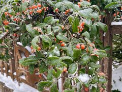 -庐山风景区花径公园