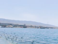 -青海湖国家重点风景名胜区