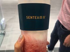 -森茶(湛江万达店)