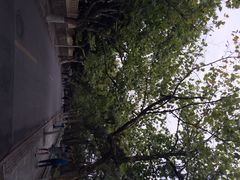 八大关景区-八大关景区