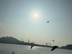 -海驴岛(荣成市)