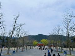 -晋祠公园