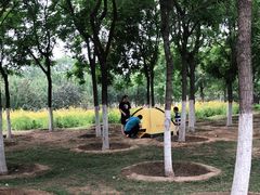 -永定河休闲森林公园