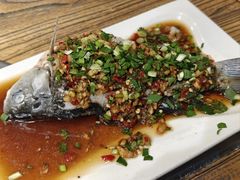 -老号尤兔头(幸福店)