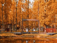 -黄海国家森林公园