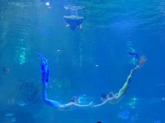 -福州罗源湾海洋世界旅游区