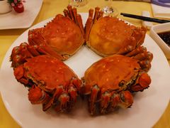 -王宝和酒家(黄浦店)