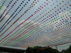 -揭东万竹园旅游景区