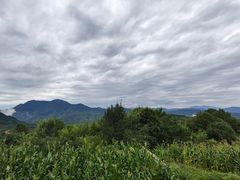 -灵山