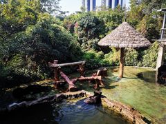 -深圳野生动物园