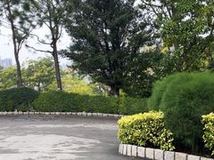 -东望洋炮台东望洋灯塔