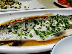 -张鸟园农家乐(张鸟园店)