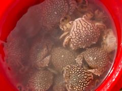 -嵊泗基湖沙滩