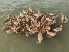 -野鸭湖国家湿地公园