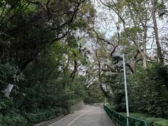 -中山公园(石岐街道)