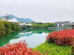 -帐篷客·溪龙茶谷度假酒店