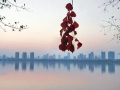 -艾溪湖湿地公园