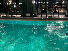 -丽思卡尔顿酒店泳池(金融街店)