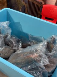 点击看大图 -卡通尼·Safari非洲探索乐园·生日会(金桥国际商业广场店)