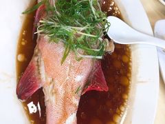 -老字号蛇口德记烧腊饭店·海鲜加工