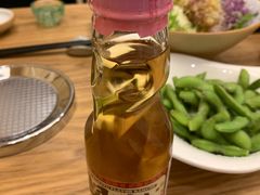 汽水-一本钓鲔鱼屋