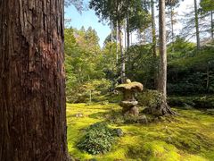 -三千院