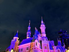 -上海迪士尼度假区