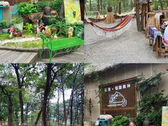 -沂蒙山旅游区云蒙景区(蒙山国家森林公园)