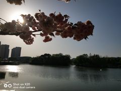 -新江湾城公园