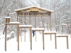 -青峰峡国家森林公园