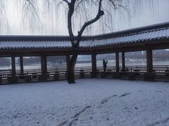 -小白鲨工夫潮膳(曲江店)