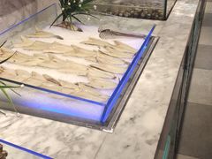 -火锅岛潮牌自助餐厅(天津天佑城店)