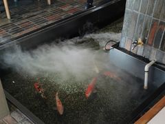 -0776食堂·京城创意菜(七里庄店)