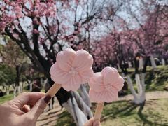 -昆明动物园