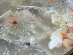 -港升鱼师傅·中山脆肉鲩