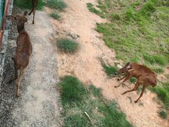 -泉州海丝野生动物世界