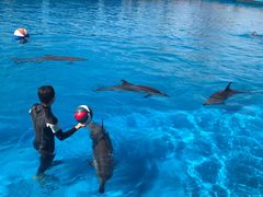 -三亚海昌梦幻海洋不夜城