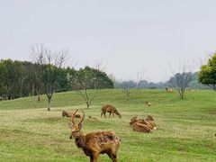 -良渚古城遗址公园