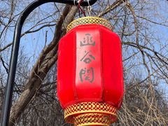 -函谷关历史文化旅游区