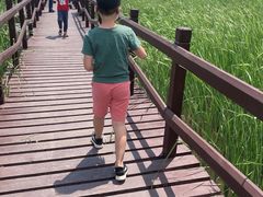 -西青郊野公园